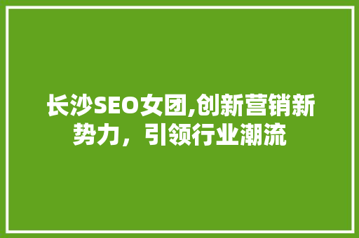 长沙SEO女团,创新营销新势力，引领行业潮流