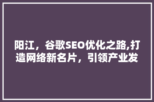 阳江，谷歌SEO优化之路,打造网络新名片，引领产业发展新潮流