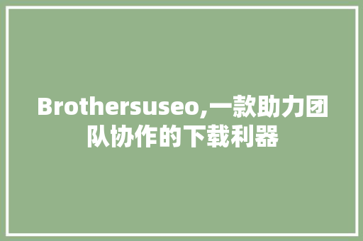Brothersuseo,一款助力团队协作的下载利器