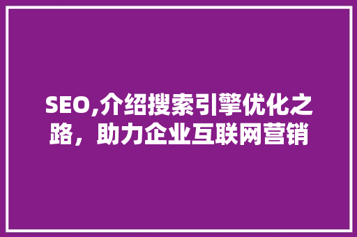SEO,介绍搜索引擎优化之路，助力企业互联网营销
