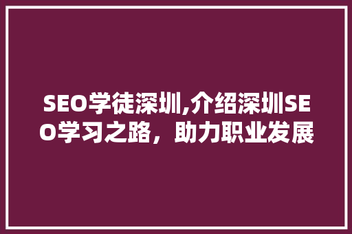 SEO学徒深圳,介绍深圳SEO学习之路，助力职业发展