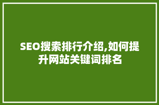 SEO搜索排行介绍,如何提升网站关键词排名
