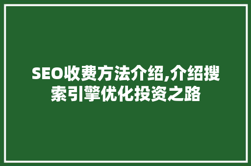 SEO收费方法介绍,介绍搜索引擎优化投资之路