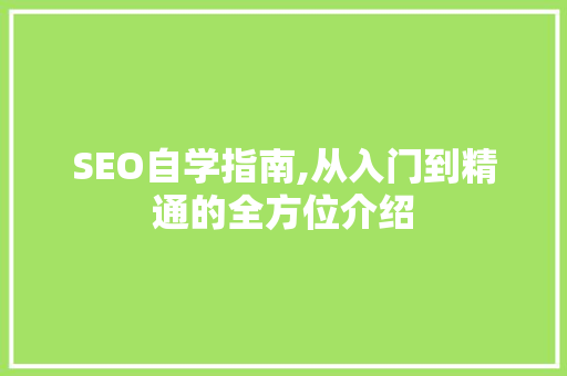 SEO自学指南,从入门到精通的全方位介绍