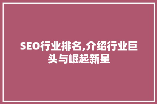 SEO行业排名,介绍行业巨头与崛起新星