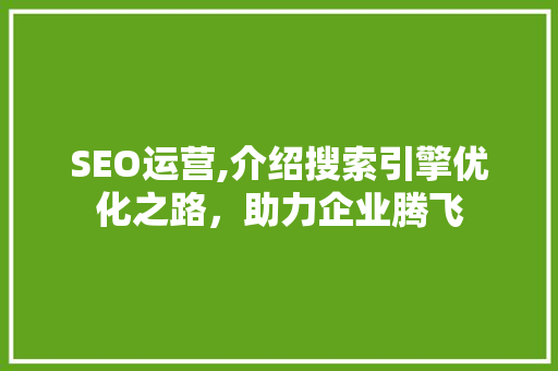SEO运营,介绍搜索引擎优化之路，助力企业腾飞
