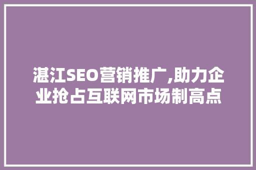 湛江SEO营销推广,助力企业抢占互联网市场制高点