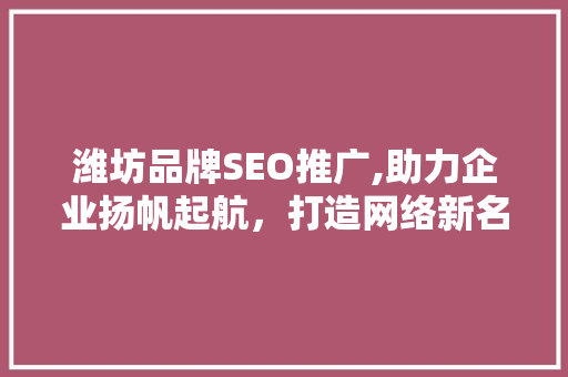 潍坊品牌SEO推广,助力企业扬帆起航，打造网络新名片