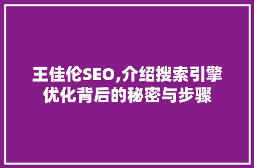 王佳伦SEO,介绍搜索引擎优化背后的秘密与步骤