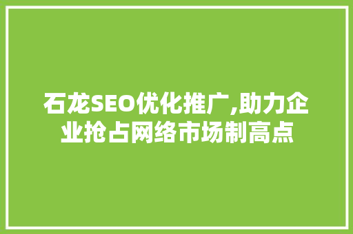 石龙SEO优化推广,助力企业抢占网络市场制高点