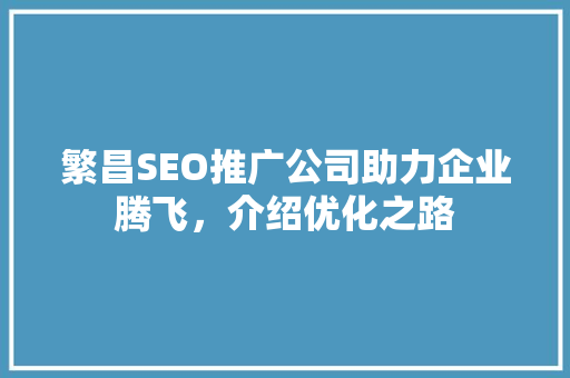 繁昌SEO推广公司助力企业腾飞，介绍优化之路