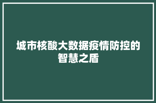 城市核酸大数据疫情防控的智慧之盾  第1张
