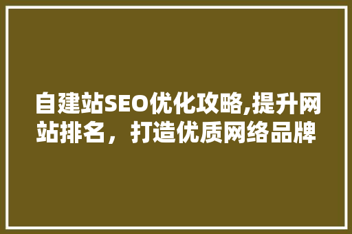 自建站SEO优化攻略,提升网站排名，打造优质网络品牌