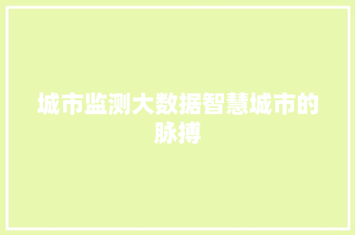 城市监测大数据智慧城市的脉搏