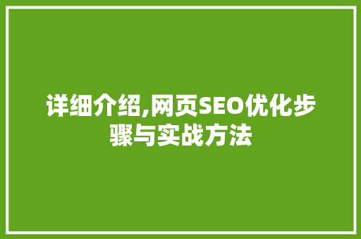详细介绍,网页SEO优化步骤与实战方法