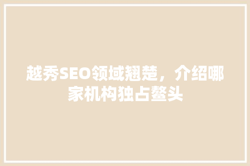 越秀SEO领域翘楚，介绍哪家机构独占鳌头