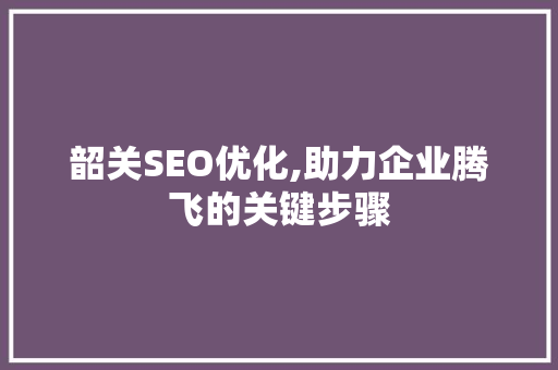 韶关SEO优化,助力企业腾飞的关键步骤