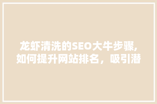 龙虾清洗的SEO大牛步骤,如何提升网站排名，吸引潜在客户