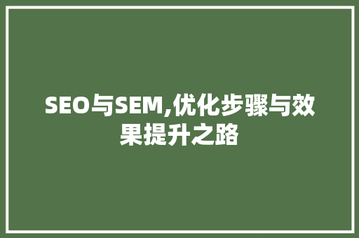 SEO与SEM,优化步骤与效果提升之路