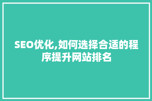 SEO优化,如何选择合适的程序提升网站排名