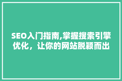 SEO入门指南,掌握搜索引擎优化，让你的网站脱颖而出