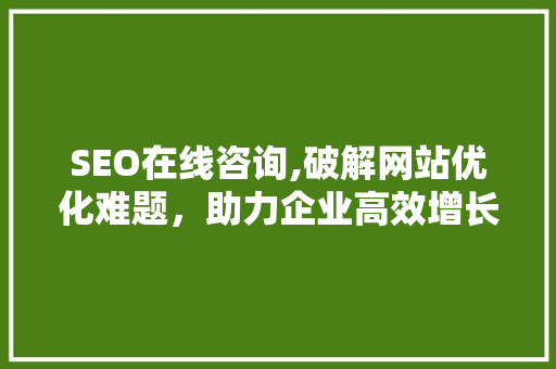 SEO在线咨询,破解网站优化难题，助力企业高效增长