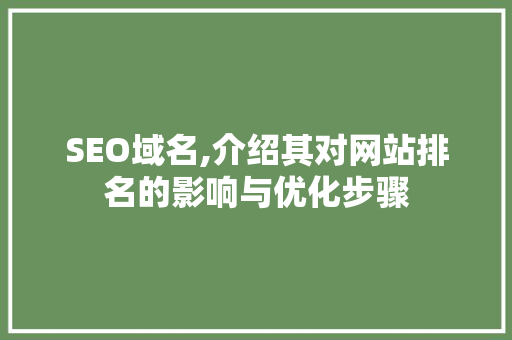 SEO域名,介绍其对网站排名的影响与优化步骤