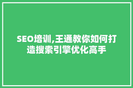 SEO培训,王通教你如何打造搜索引擎优化高手