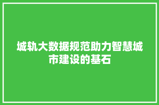 城轨大数据规范助力智慧城市建设的基石  第1张