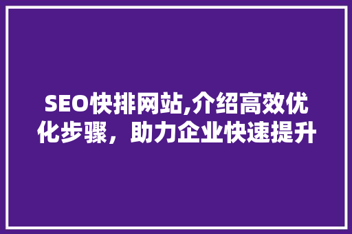SEO快排网站,介绍高效优化步骤，助力企业快速提升网站排名
