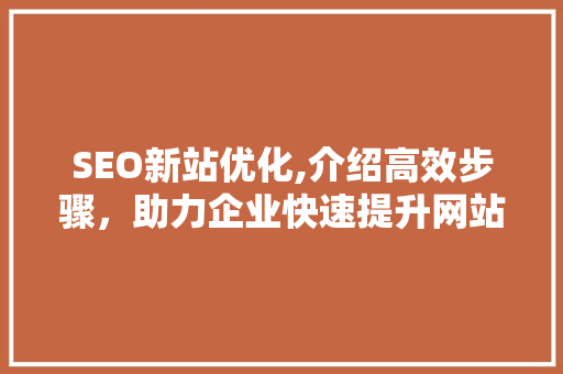 SEO新站优化,介绍高效步骤，助力企业快速提升网站排名