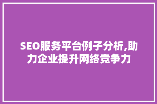 SEO服务平台例子分析,助力企业提升网络竞争力