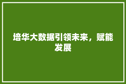 培华大数据引领未来，赋能发展  第1张