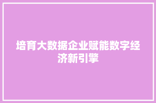 培育大数据企业赋能数字经济新引擎  第1张