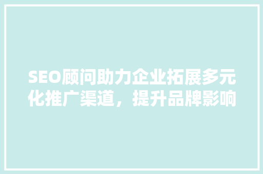 SEO顾问助力企业拓展多元化推广渠道，提升品牌影响力