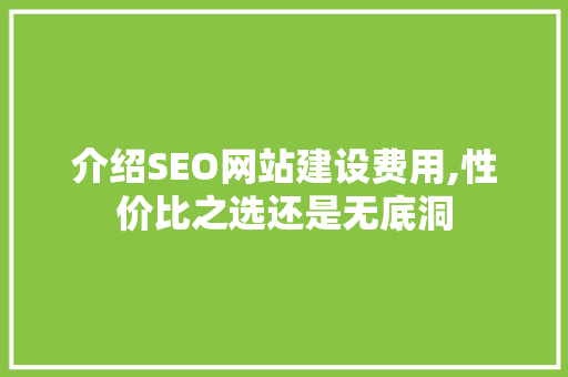 介绍SEO网站建设费用,性价比之选还是无底洞