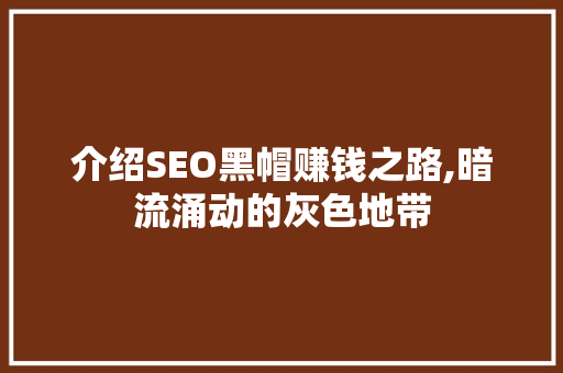 介绍SEO黑帽赚钱之路,暗流涌动的灰色地带