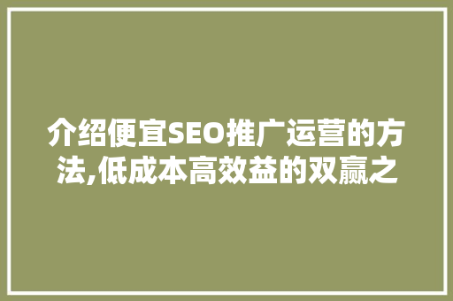 介绍便宜SEO推广运营的方法,低成本高效益的双赢之路
