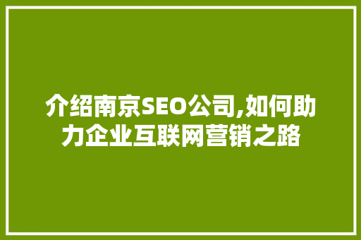 介绍南京SEO公司,如何助力企业互联网营销之路
