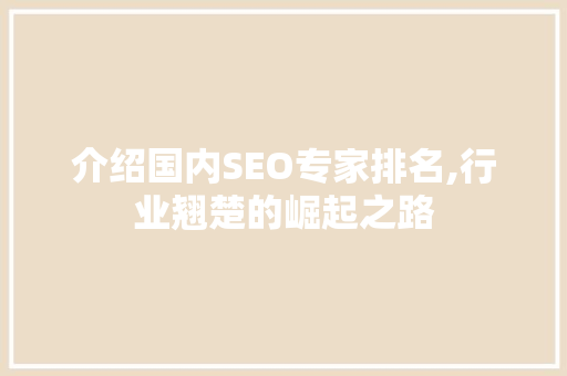 介绍国内SEO专家排名,行业翘楚的崛起之路
