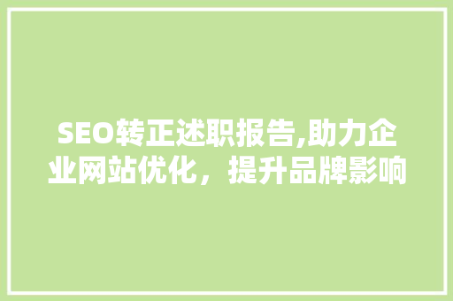 SEO转正述职报告,助力企业网站优化，提升品牌影响力
