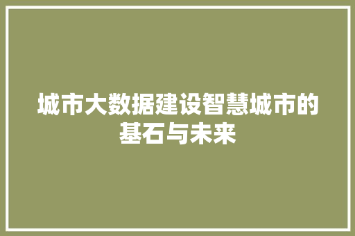 城市大数据建设智慧城市的基石与未来  第1张