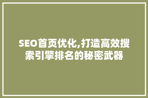 SEO首页优化,打造高效搜索引擎排名的秘密武器