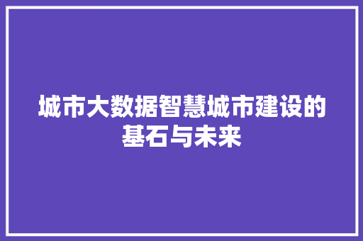 城市大数据智慧城市建设的基石与未来  第1张