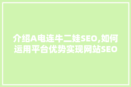介绍A电连牛二娃SEO,如何运用平台优势实现网站SEO优化