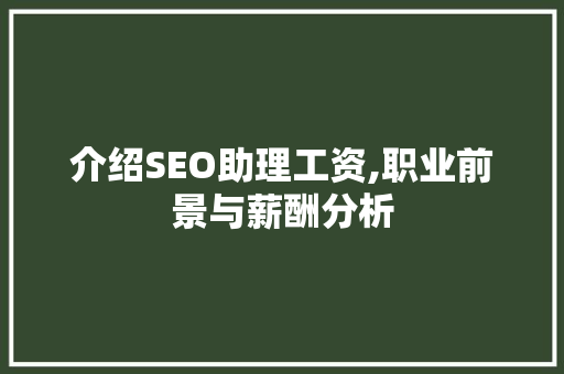 介绍SEO助理工资,职业前景与薪酬分析