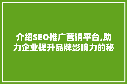 介绍SEO推广营销平台,助力企业提升品牌影响力的秘密武器