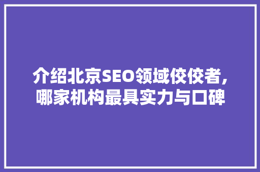 介绍北京SEO领域佼佼者,哪家机构最具实力与口碑