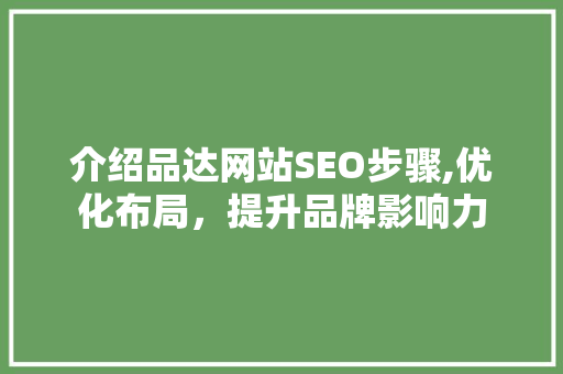 介绍品达网站SEO步骤,优化布局，提升品牌影响力