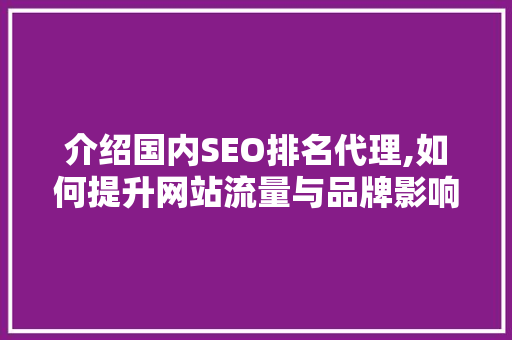 介绍国内SEO排名代理,如何提升网站流量与品牌影响力